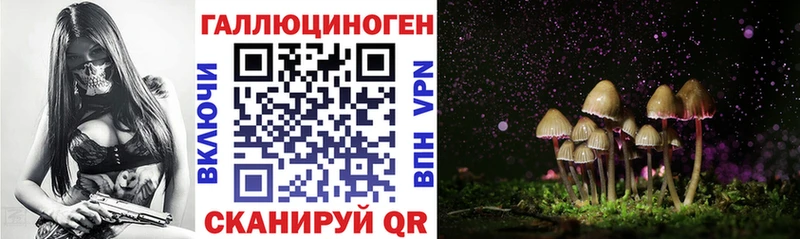 Галлюциногенные грибы Psilocybine cubensis Городец